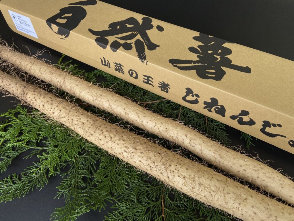 ☆★天然物栃木県産自然薯3.0Kg★☆